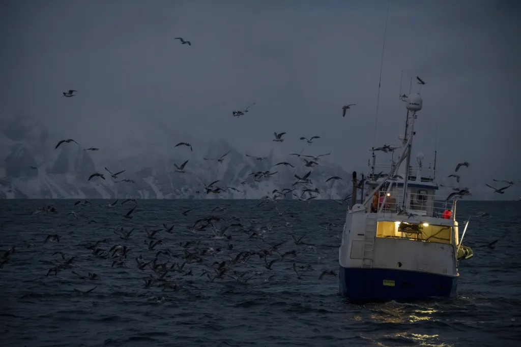 climate environment-pollution nature oceanography Horizontal