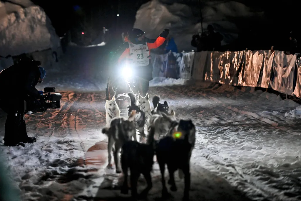 Willow, 2021. március 16.
Dallas Seavey megnyeri az Iditarod amerikai kutyaszánversenyt az alaszkai Willowban 2021. március 15-én. A 34 éves Seavey ötödször diadalmaskodott a világ leghíresebb kutyaszánversenyén.
MTI/AP/Anchorage Daily News/Marc Lester 