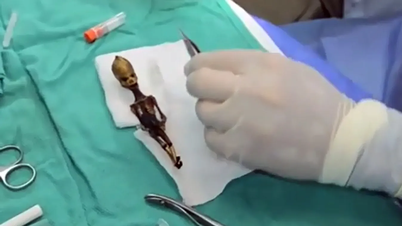miniatűr emberi csontváz, Chile