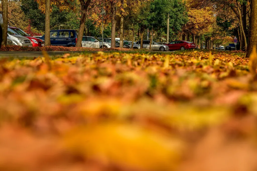 Debrecen, ősz 