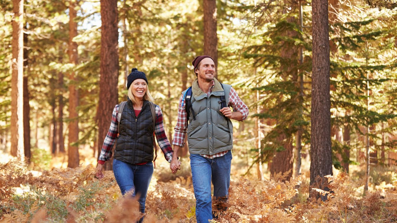 Couple enjoying hike in a forest, California, USA Couple - Relationship Two Parents Travel Wilderness Area Looking At View Women Men Two People Copy Space Looking Away Jeans 30-39 Years Mature Adult Adult Backpack Smiling Walking Holding Hands Caucasian E