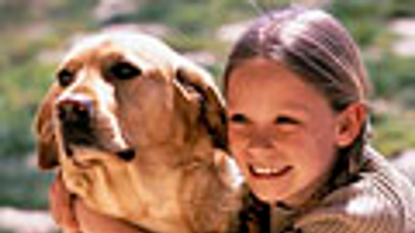 kutya, viselkedés, testbeszéd, felismerik a gyerekek ha agresszíven ugyat egy kutya