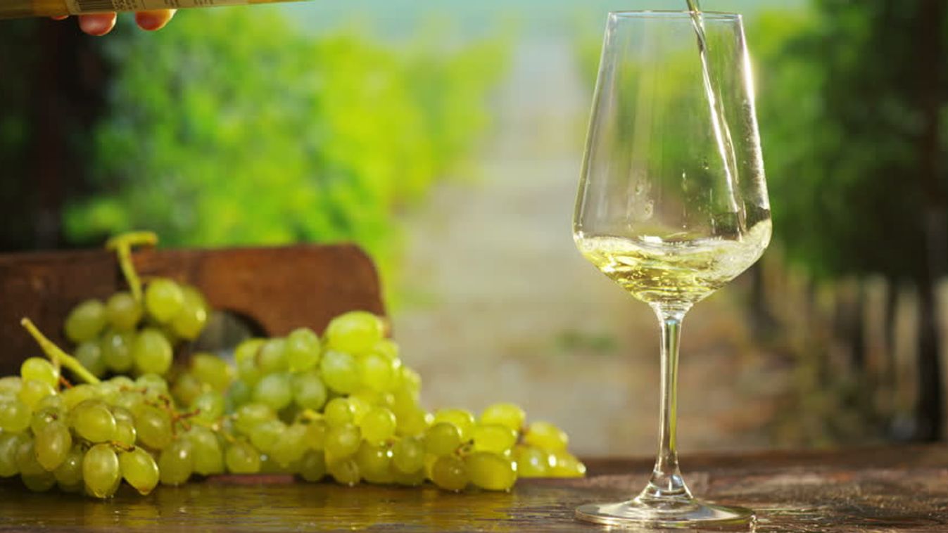 bor borospohár szőlő 
