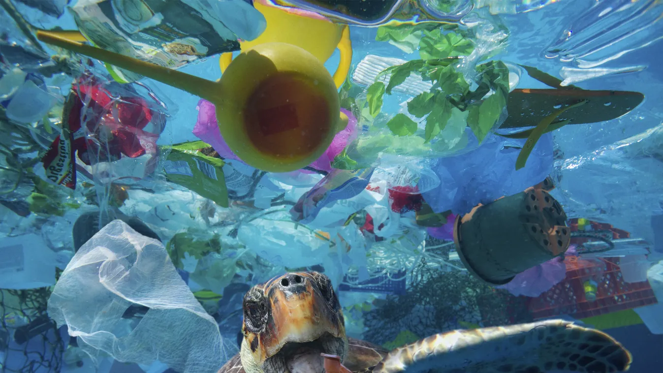 óceán, szemét, teknős, környezetvédelem, műanyag szemét 