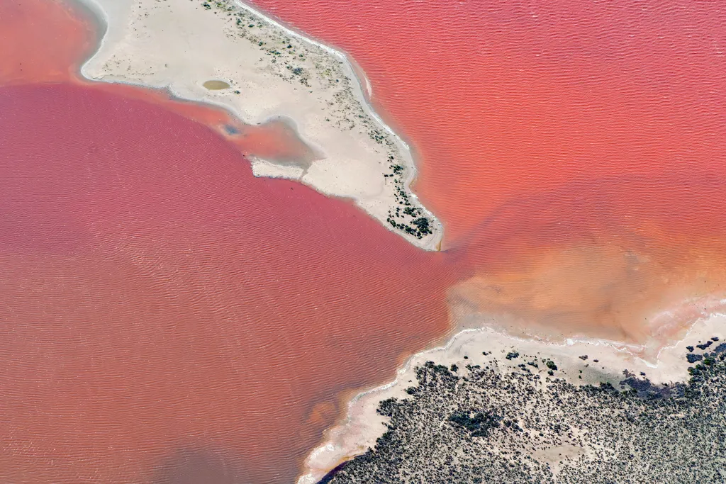 Hutt Lagoon, rózsaszín lagúna, Ausztrália 