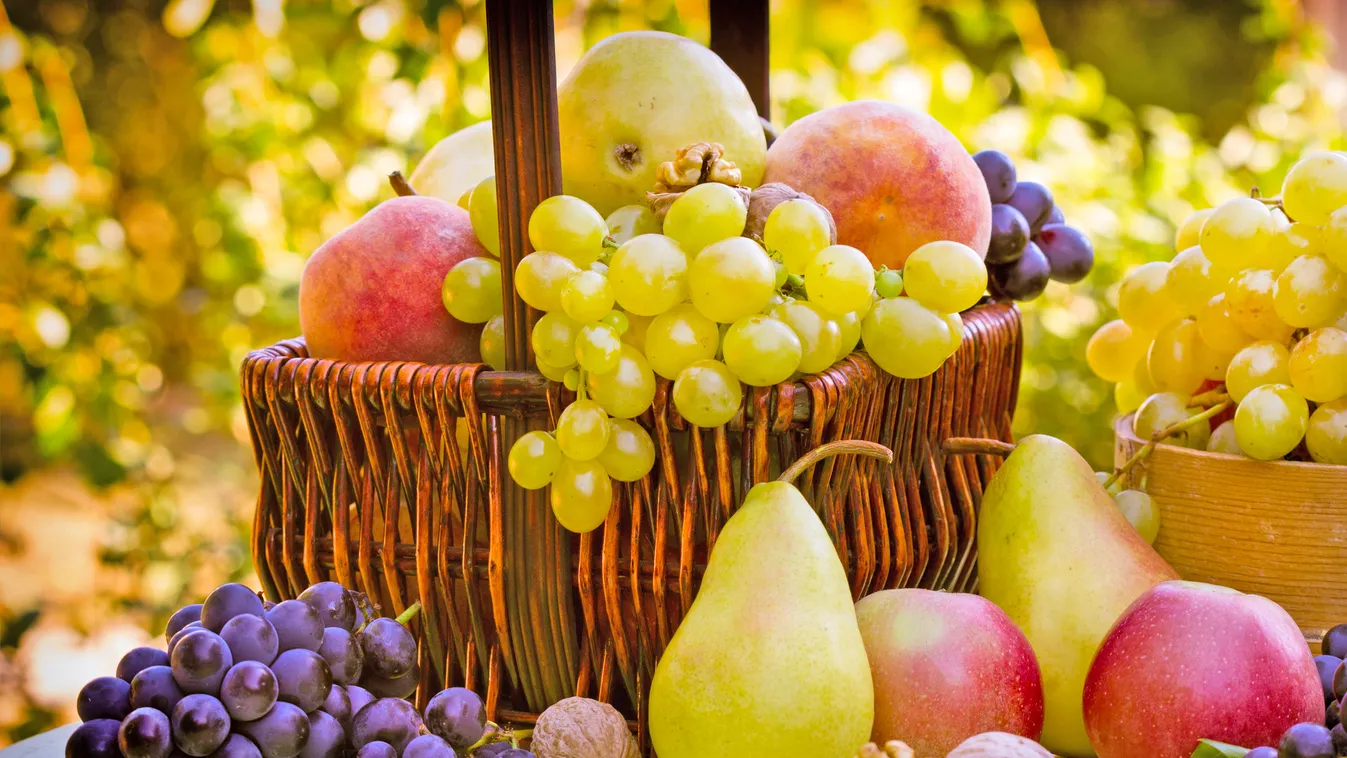 5 dolog, amit megtehetsz a jó közérzetért dr life gyümölcs ősz 