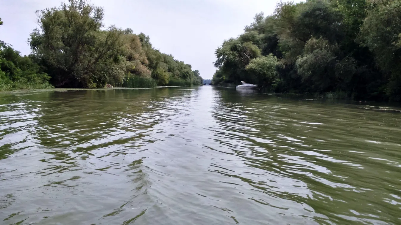 Tisza-tó 