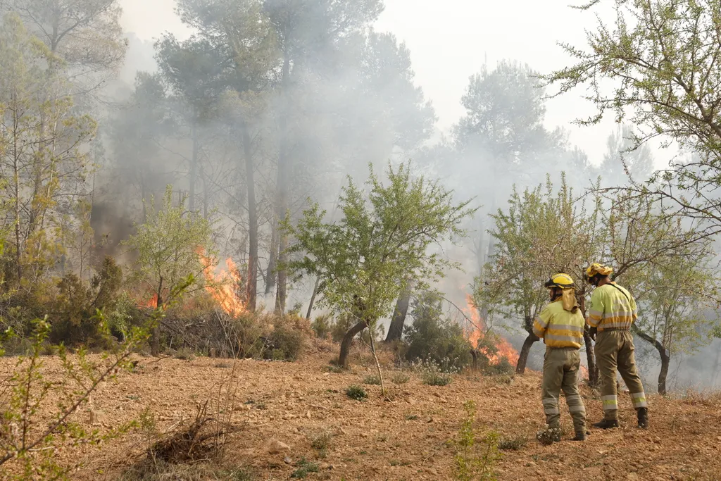 Erdőtűz Spanyolország, erdő, tűz 