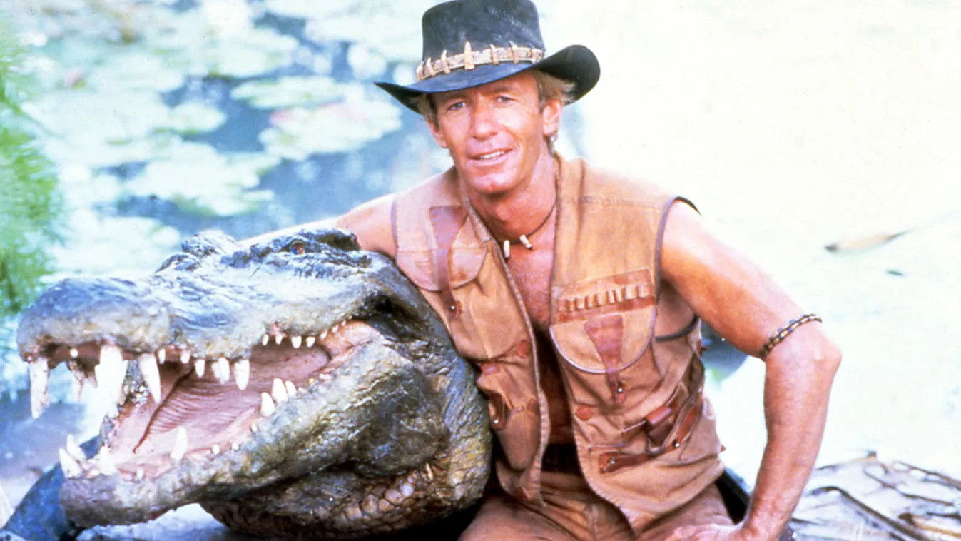 crocodile Dundee Horizontal SQUARE FORMAT 