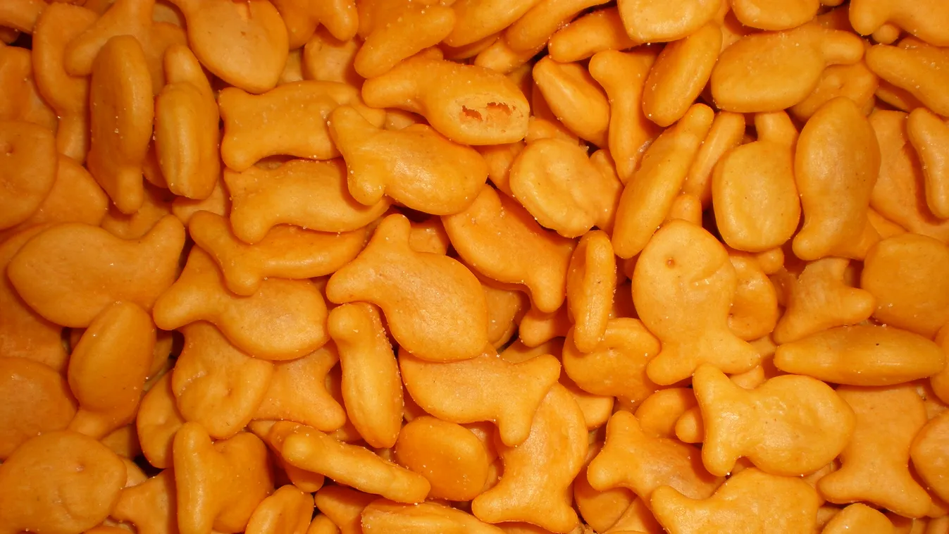 Pepperidge Farm Goldfish 