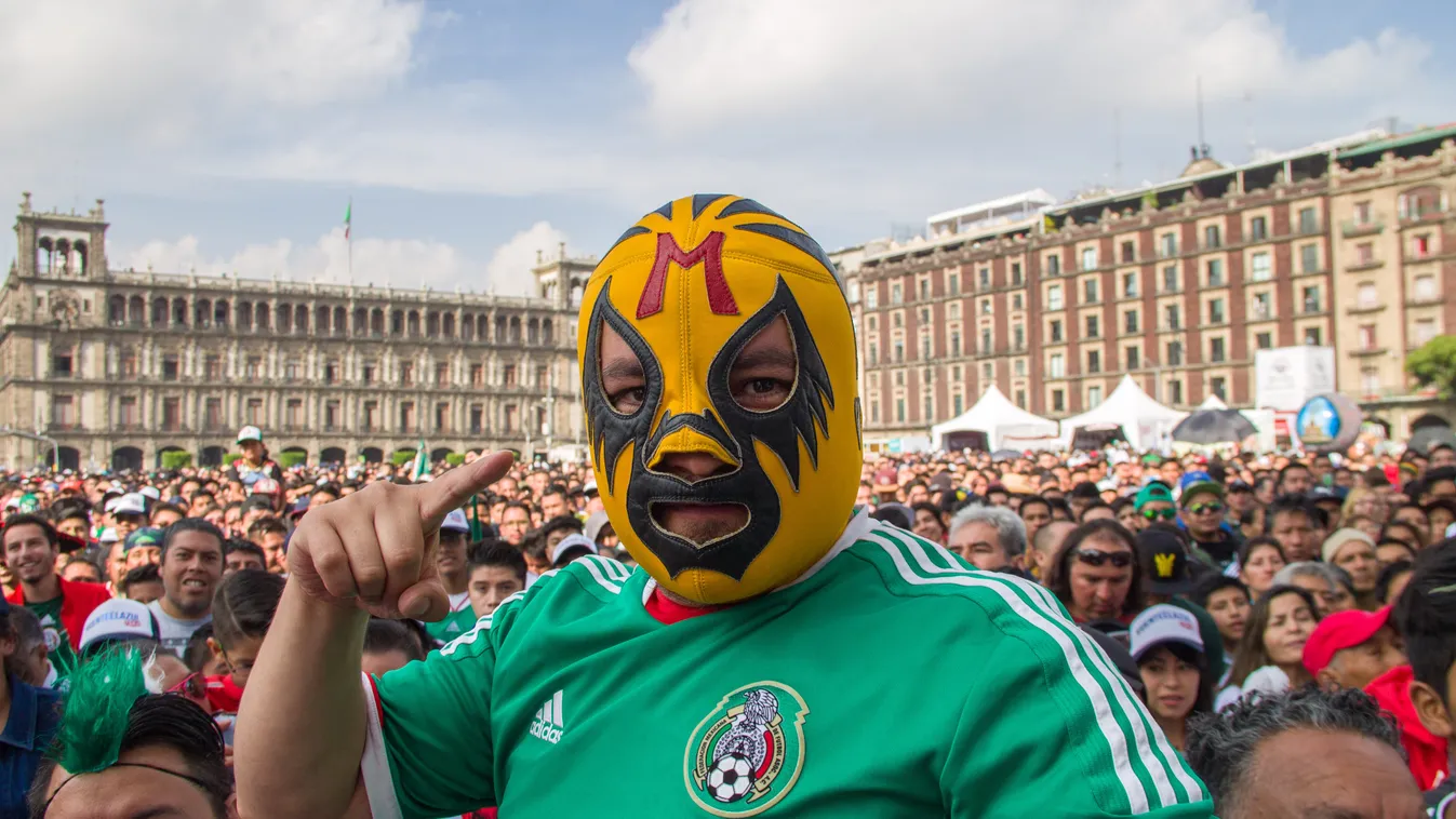 Fans: Mexico vs Sweden Sports soccer WORLD CUP fans 