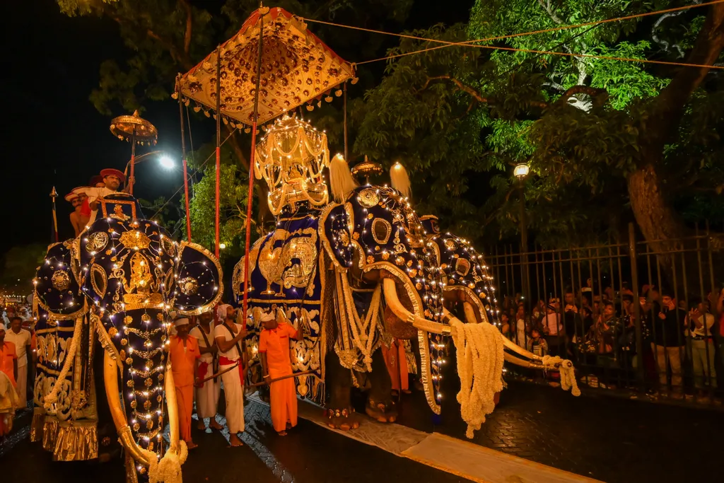 Kandy Esala Perahera, Sri Dalada Perahara, fesztivál, Kandy, A Fog Fesztiválja, július és augusztus, Srí Lanka, történelmi körmenet, évente rendezik meg, Buddha, Szent Fog-ereklye, 2023. 08. 29. 