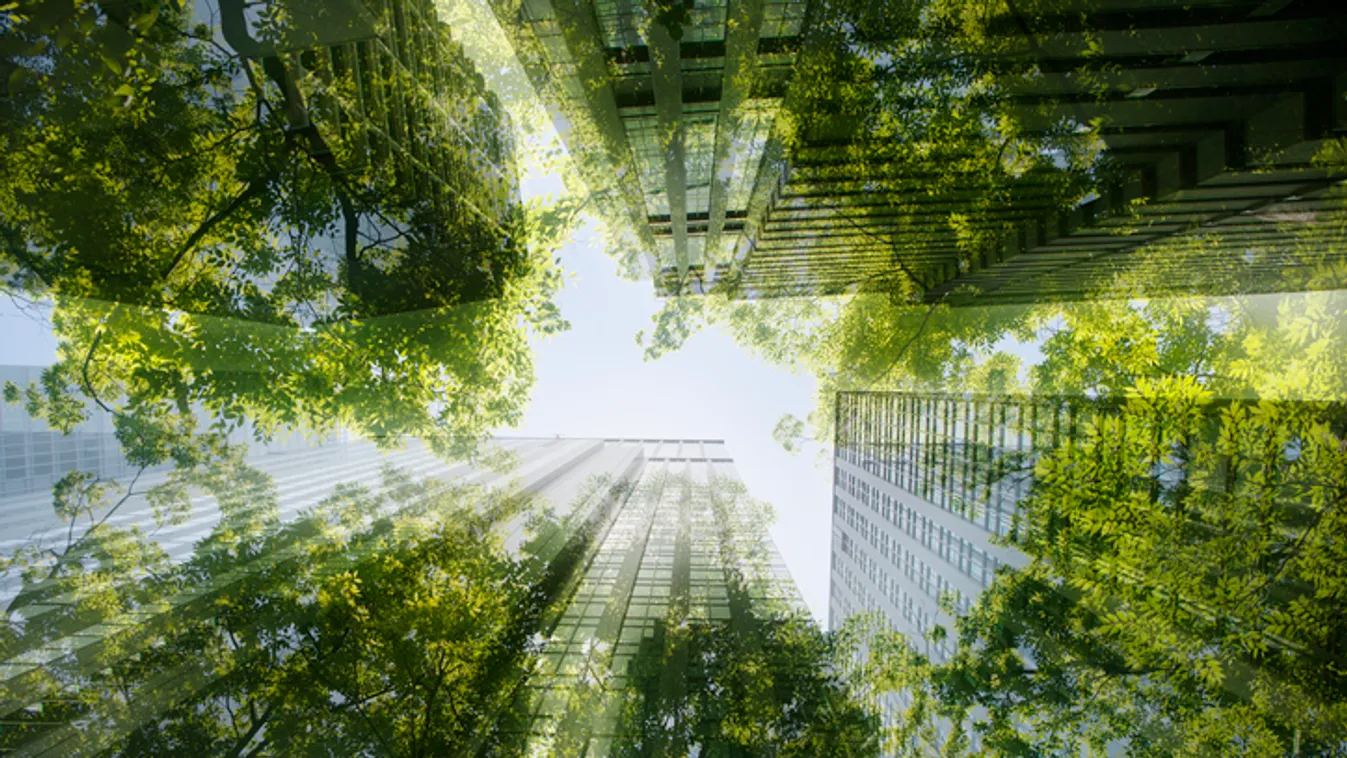 Cityscape mixed with green plants, multi layered image 