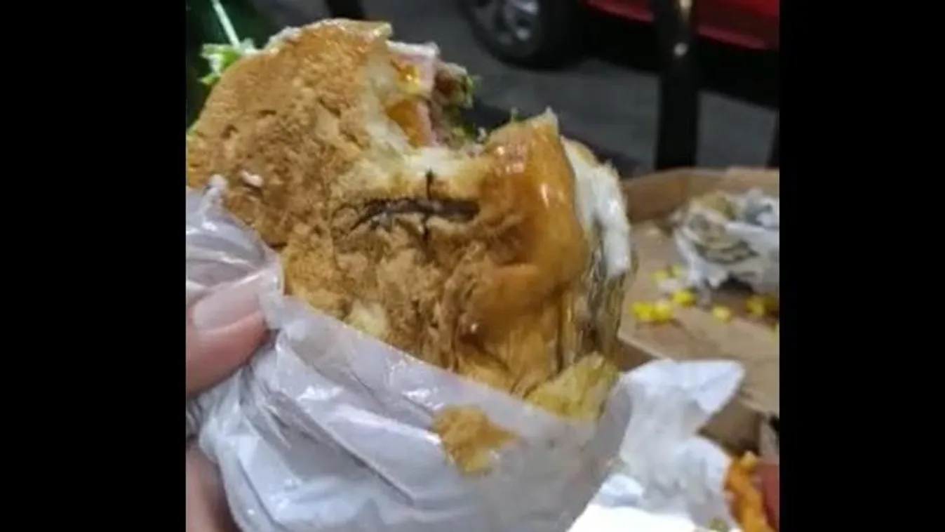 hamburger 