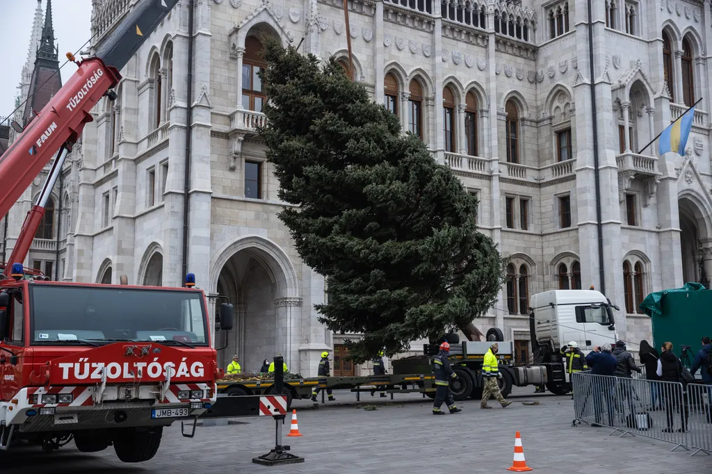 karácsonyfa, Ország Karácsonyfája, karácsony, kossuth tér, Felállítják az Ország Karácsonyfáját a Kossuth téren 2021.11.22. 
