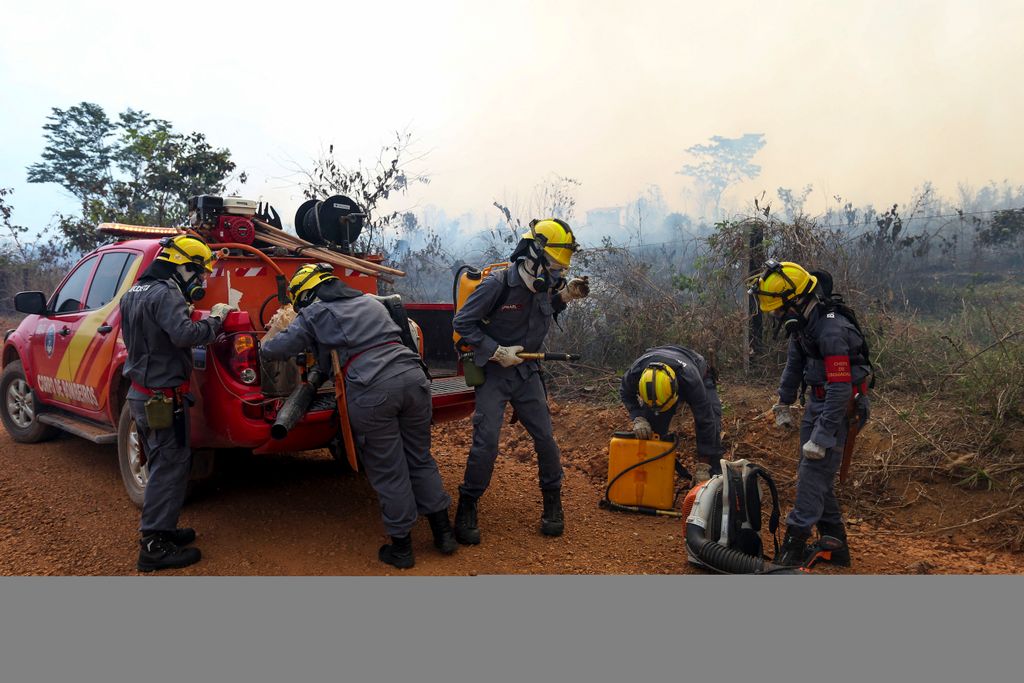 Tűz az Amazonas őserdőben fire environment Horizontal 