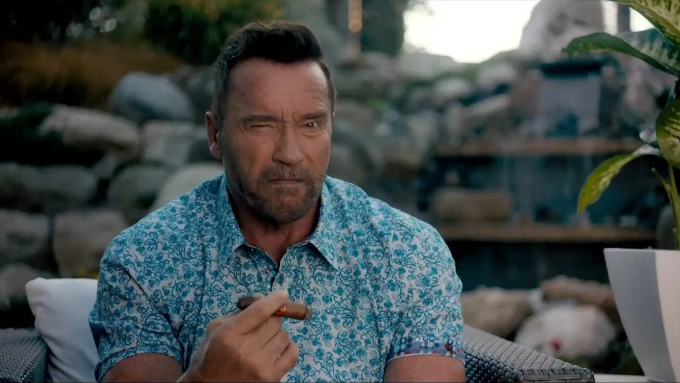 Arnold Schwarzenegger a Nyírjuk ki Gunthert! című filmben 
