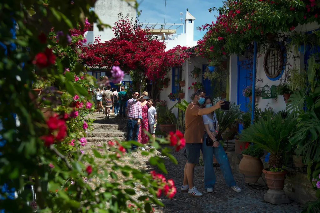 Cordoba Patios Festival Córdoba udavarfesztivál virágok 