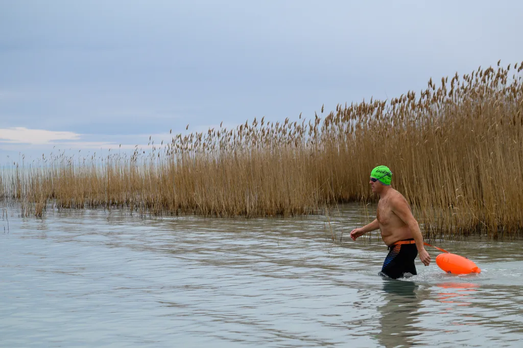 év végi galéria  Balaton nádas résztvevő SZEMÉLY TÁJ tó úszó versenyző vízpart 