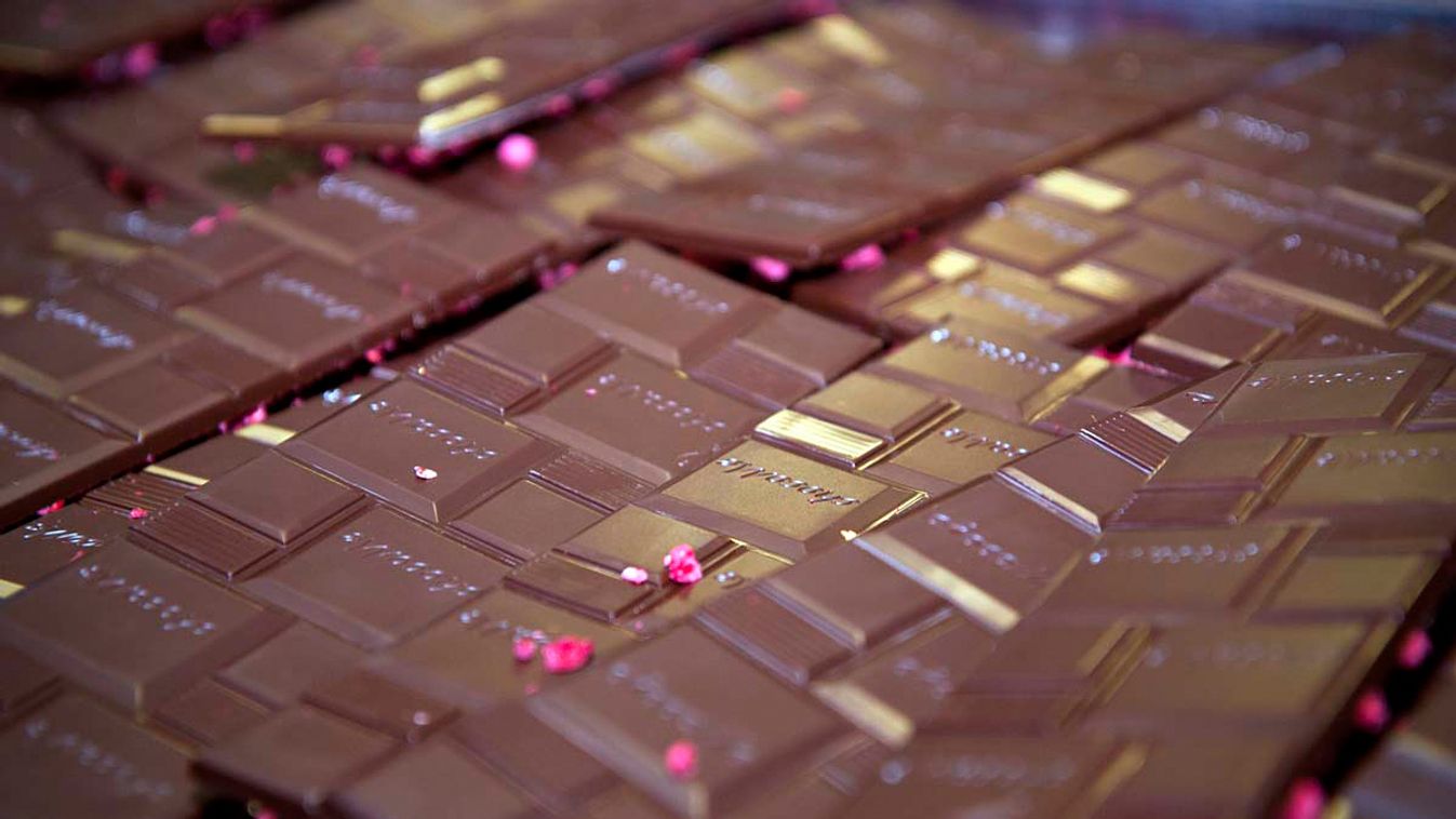 Mészáros Gábor története – Így épített fel a semmiből egy sikeres vállalkozást chocoMe csokoládégyár 