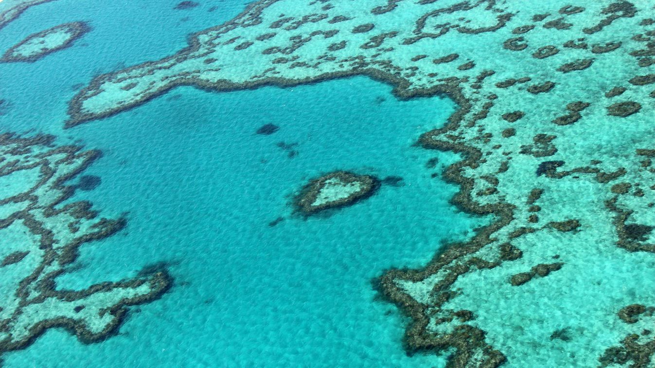 nagy korallzátony Ausztrália 