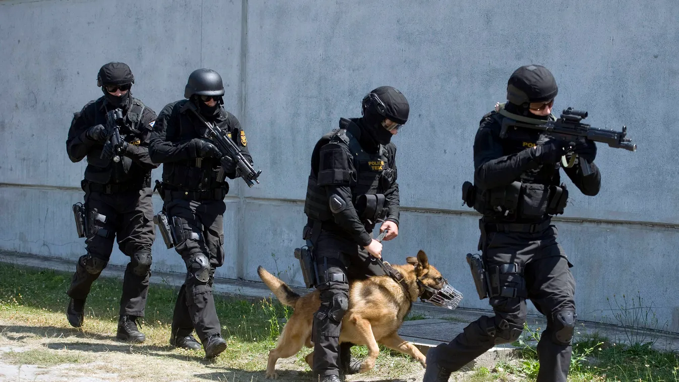 SZEMÉLY Foglalkozás rendőr kiképzés bázis TÁRGY HADI FELSZERELÉS fegyver ÁLLAT háziállat kutya rendőrkutya németjuhász szájkosár FOTÓ KÉPKIVÁGÁS egész alakos fotó SZEMÉLY Foglalkozás rendőr kiképzés bázis TÁRGY HADI FELSZERELÉS ÁLLAT háziállat rendőrkutya