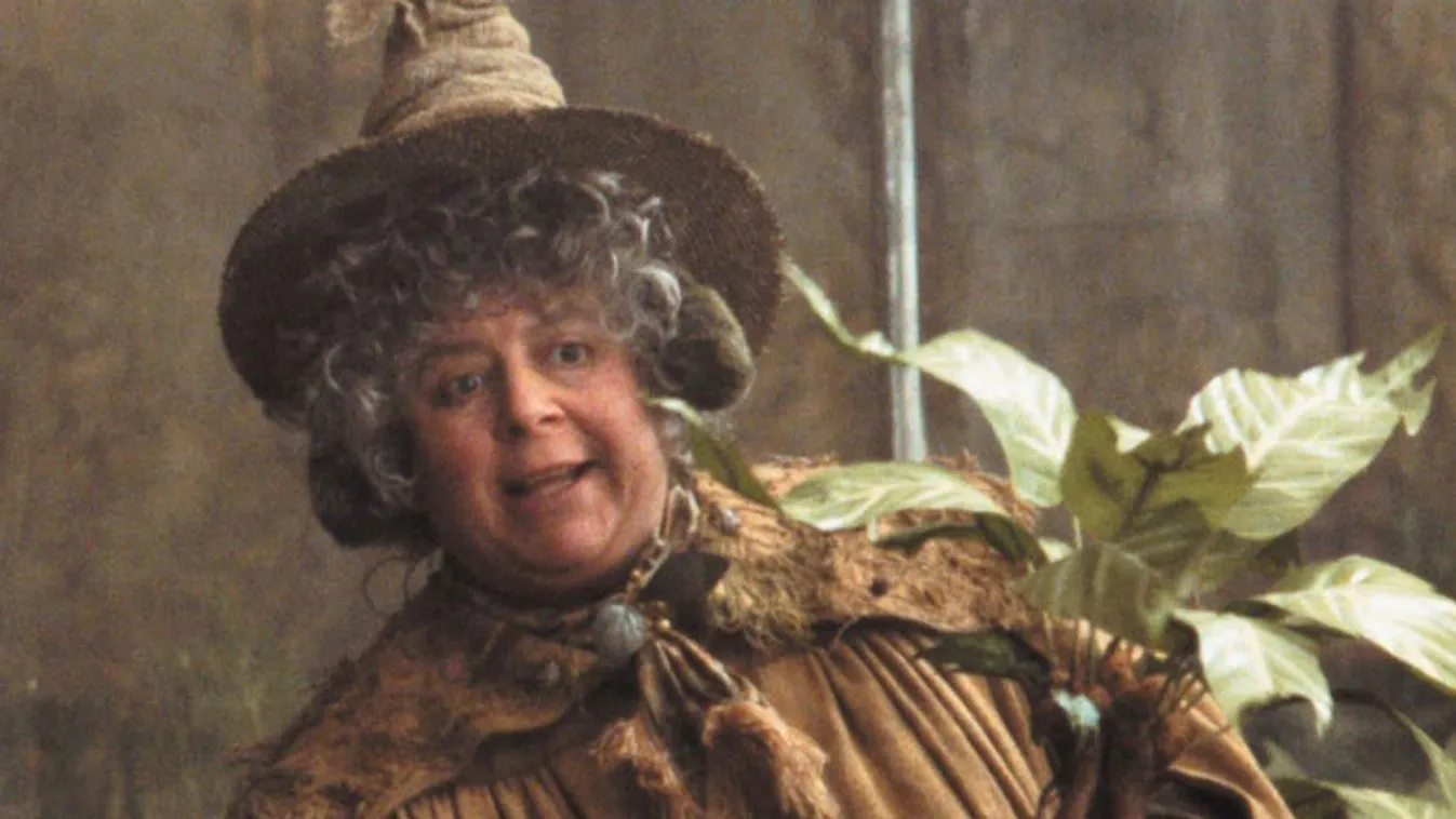 Miriam Margoyles Harry Potter professzoraként 