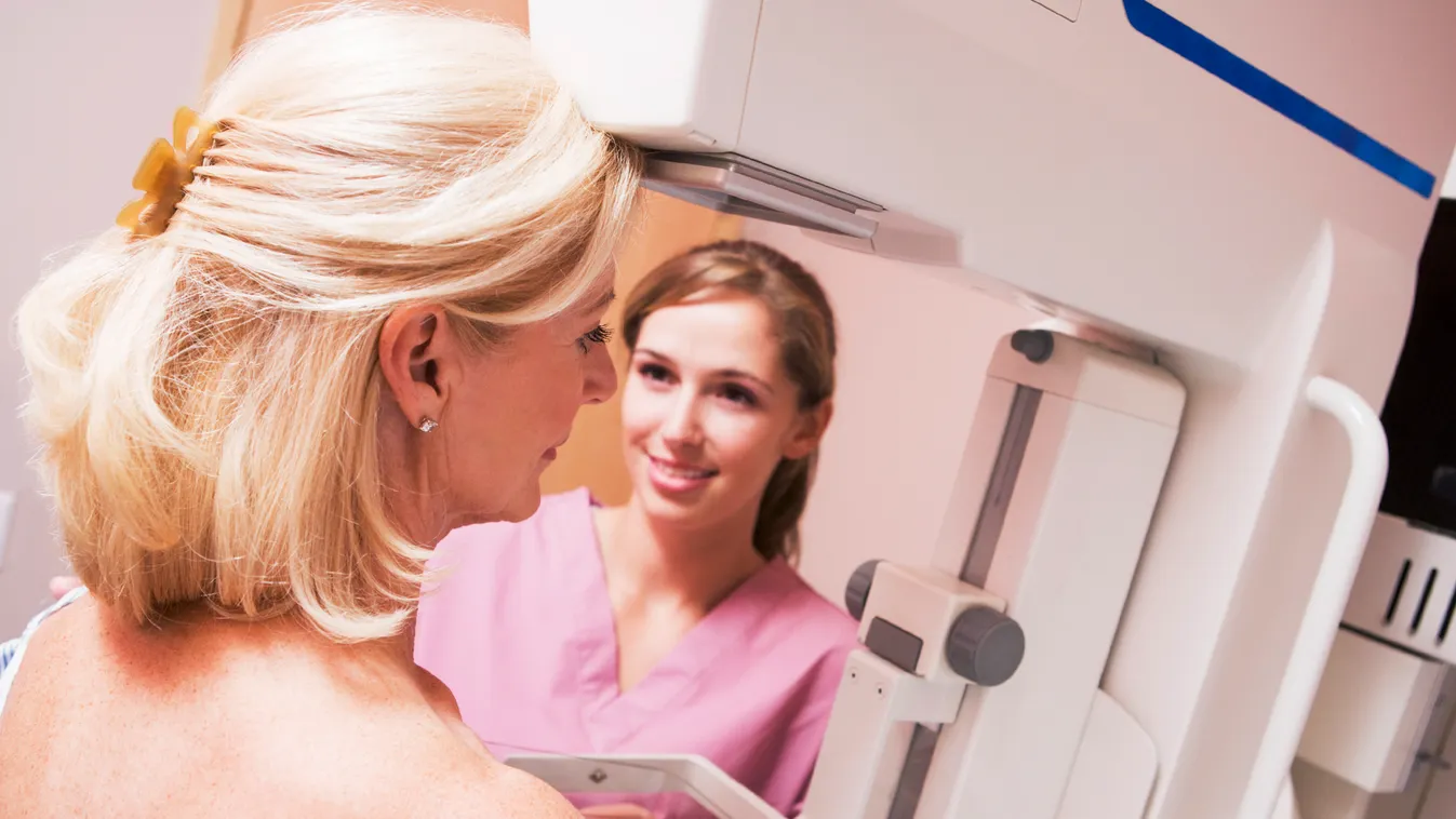 Dr. Life, Mell tapintás, altájék csekkolás és társai: 5+1 szűrés, amit évente el kellene végeztetnünk, mammográfia 