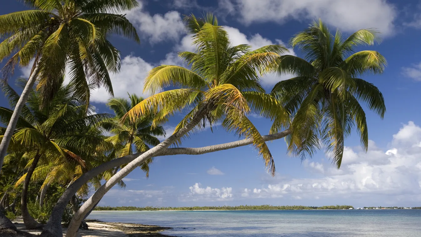 Utazás, Egy sziget, ahová mindig is vágytál: Palmerston, Cook szigetek 