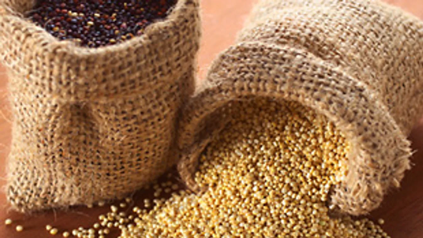 házitündér, Lúgosító, kalóriaszegény, gluténmentes csodaszer: a quinoa jótékony hatásai