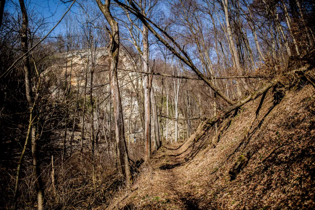 Imó-kő időszakos karsztforrás, Felsőtárkány, Bükk-vidék, Bükk, kirándulás, természet, 2021.02.25. 