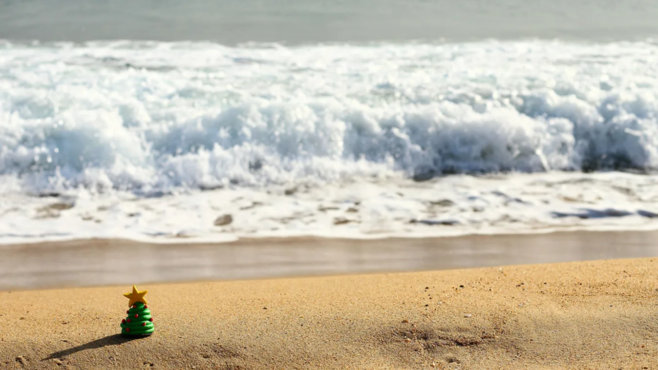 Karácsonyfa, tengerpart, homok, utazás, karácsony, tél.