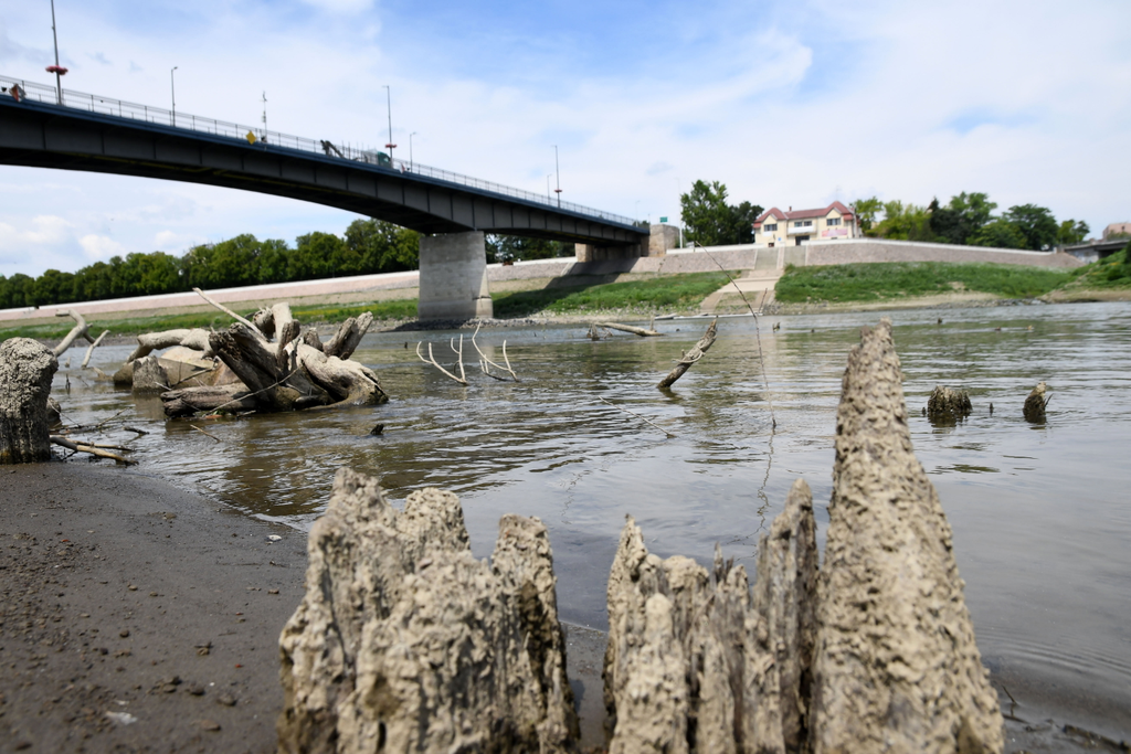FOLYÓ folyópart híd KÖZLEKEDÉSI LÉTESÍTMÉNY TÁJ Tisza 	Nagyon alacsony a Tisza vízállása 
