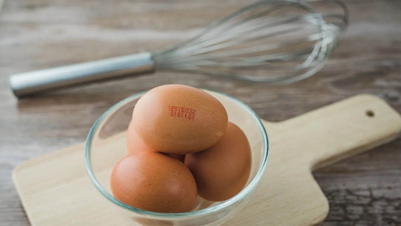 Milyen információkat rejt a tojásokon látható kód – Megfejtjük! 