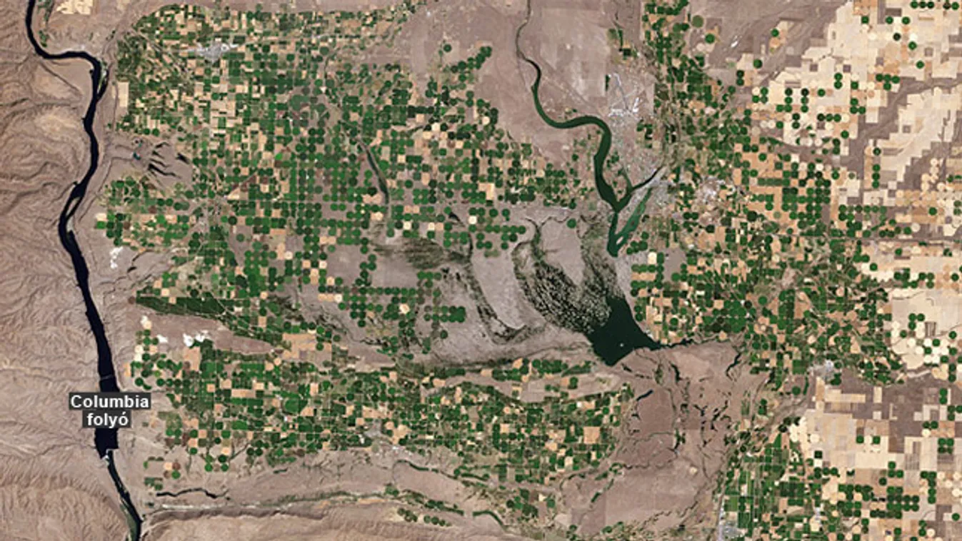mezőgazdaságilag művelt területek a Földön, NASA MODIS