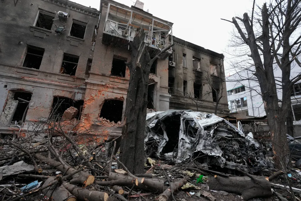 Ukrán válság 2022, ukrán, orosz, háború, orosz-ukrán háború, ukrán konfliktus, Ukrajna, kutya, romok, megrongálódott épület, Harkov, Ukrajna 