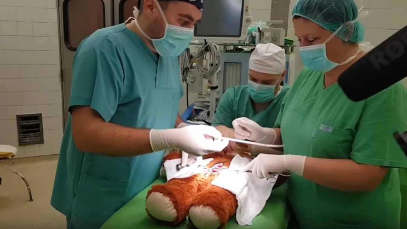 Maciműtét, Dr. Kőnig Róbert 