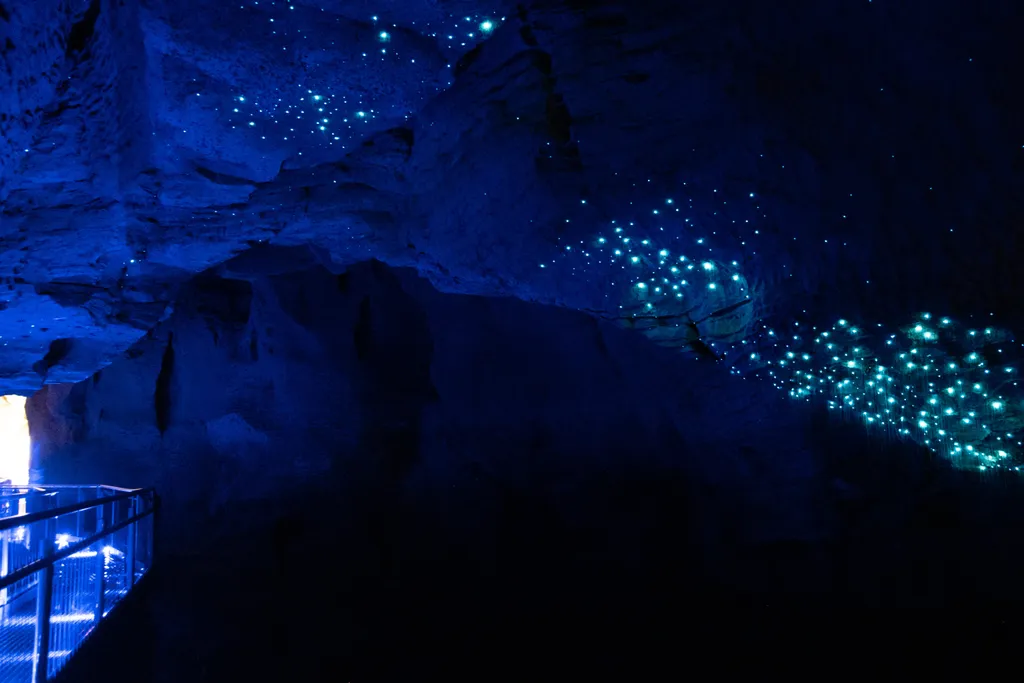 Új-Zéland, Waitomo-mészkőbarlang, Waitomo-barlang, Szentjánosbogár-barlang, 