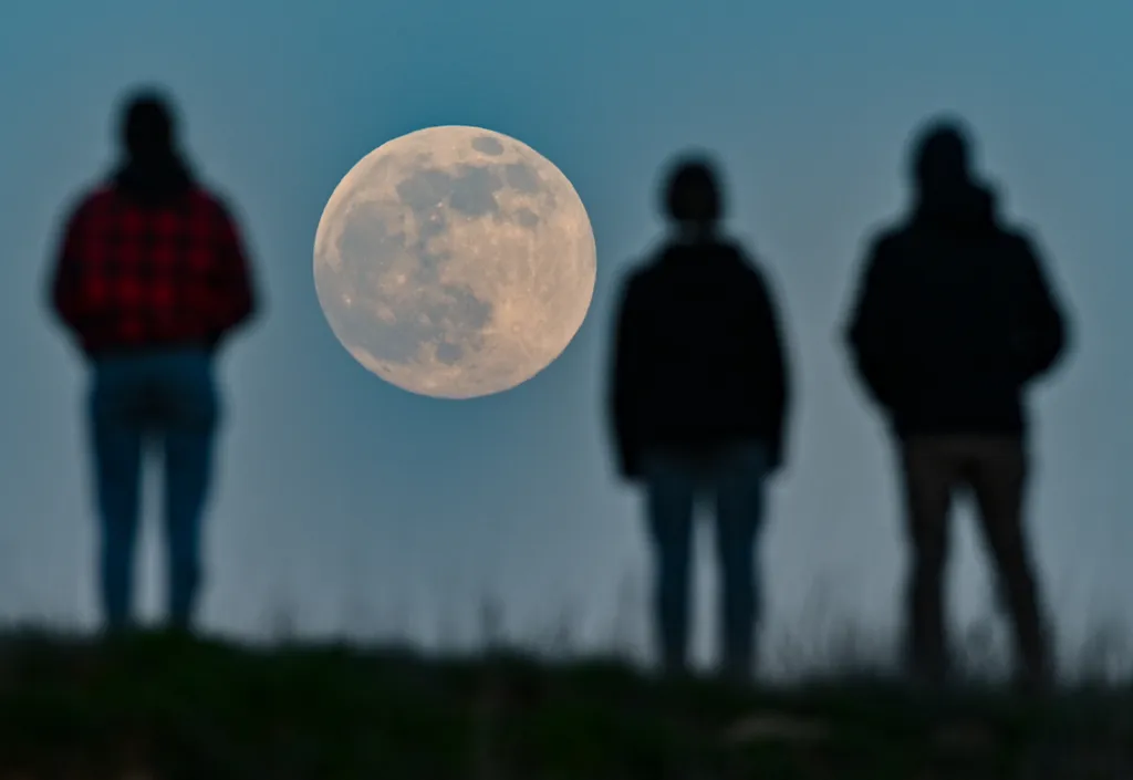 Moonrise Environmental Issues nature weather lbn Brandenburg Bird Oder-Spree Celestial Event Earth satellite Horizontal SCIENCE MOON SKY ASTRONOMY szuperhold 