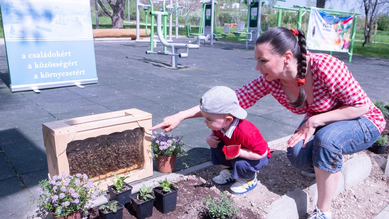 íbudapest Voice és OMME a III. kerületi Mészkő parkban méheknek táplálékot jelentő növényeket, összesen 83 tő virágot és egy fát ültettek. 