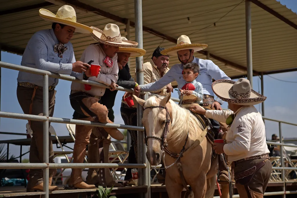 charro, mexikó, rodeó, lovas, verseny, sport, nemzeti, cowboy 