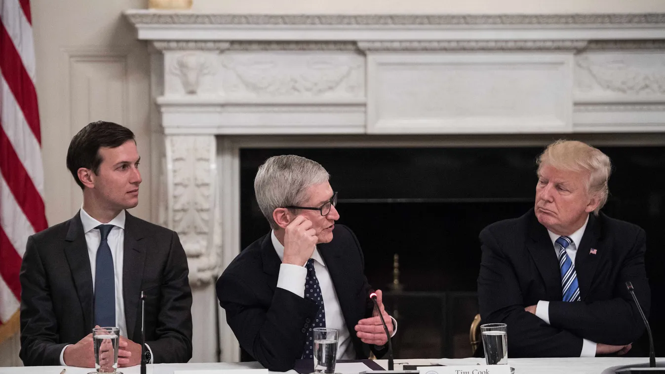 Horizontal US President Donald Trump (R) and his son-in-law and senior adviser Jared Kushner (L) listen to Apple CEO Tim Cook (C) during an American Technology Council roundtable at the White House in Washington, DC, on June 19, 2017. / AFP PHOTO / NICHOL