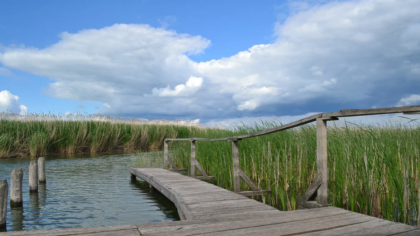 tanösvény tisza-tó 