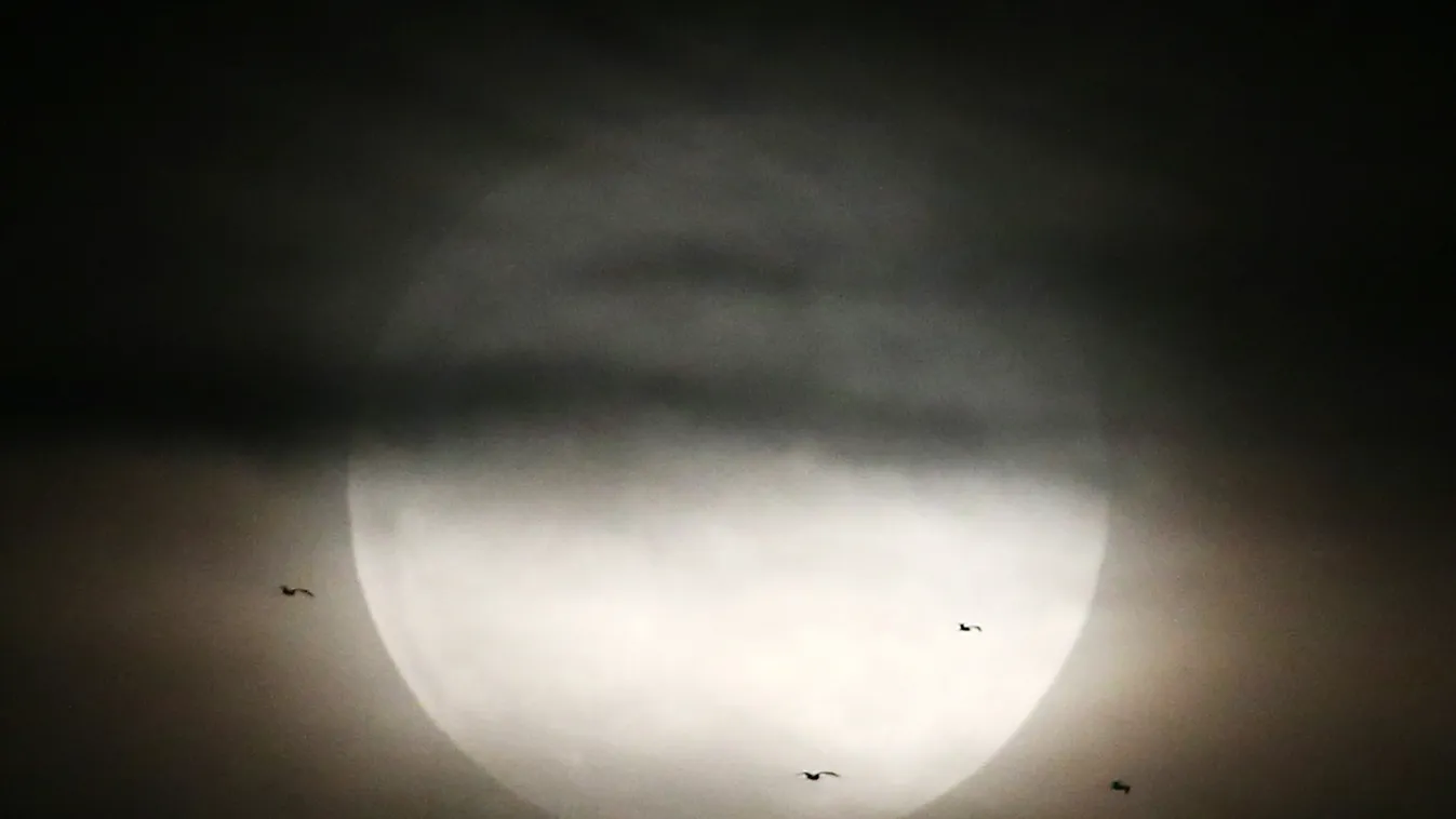 Biggest Supermoon Of 2014  Brazil Bird SKY Rio de Janeiro 
Szuperhold 