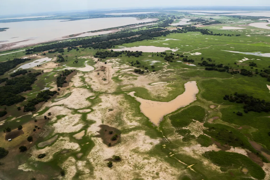 Amazonas, vidék, szárazság, folyó, folyók, vízszint, alacsony, Manaus, Brazília 