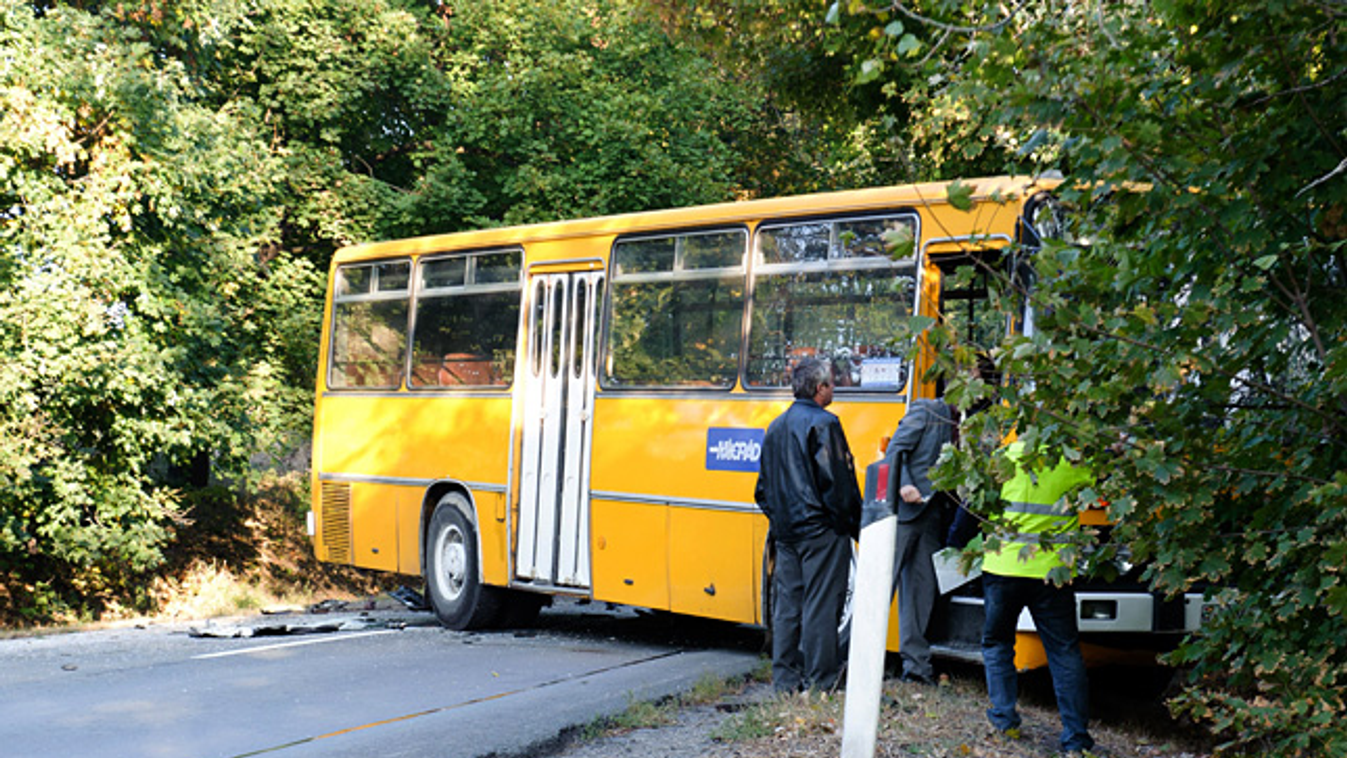 baleset, öt ember meghalt a 21-es úton történt balesetben, autóbusz ütközött mikrobusszal