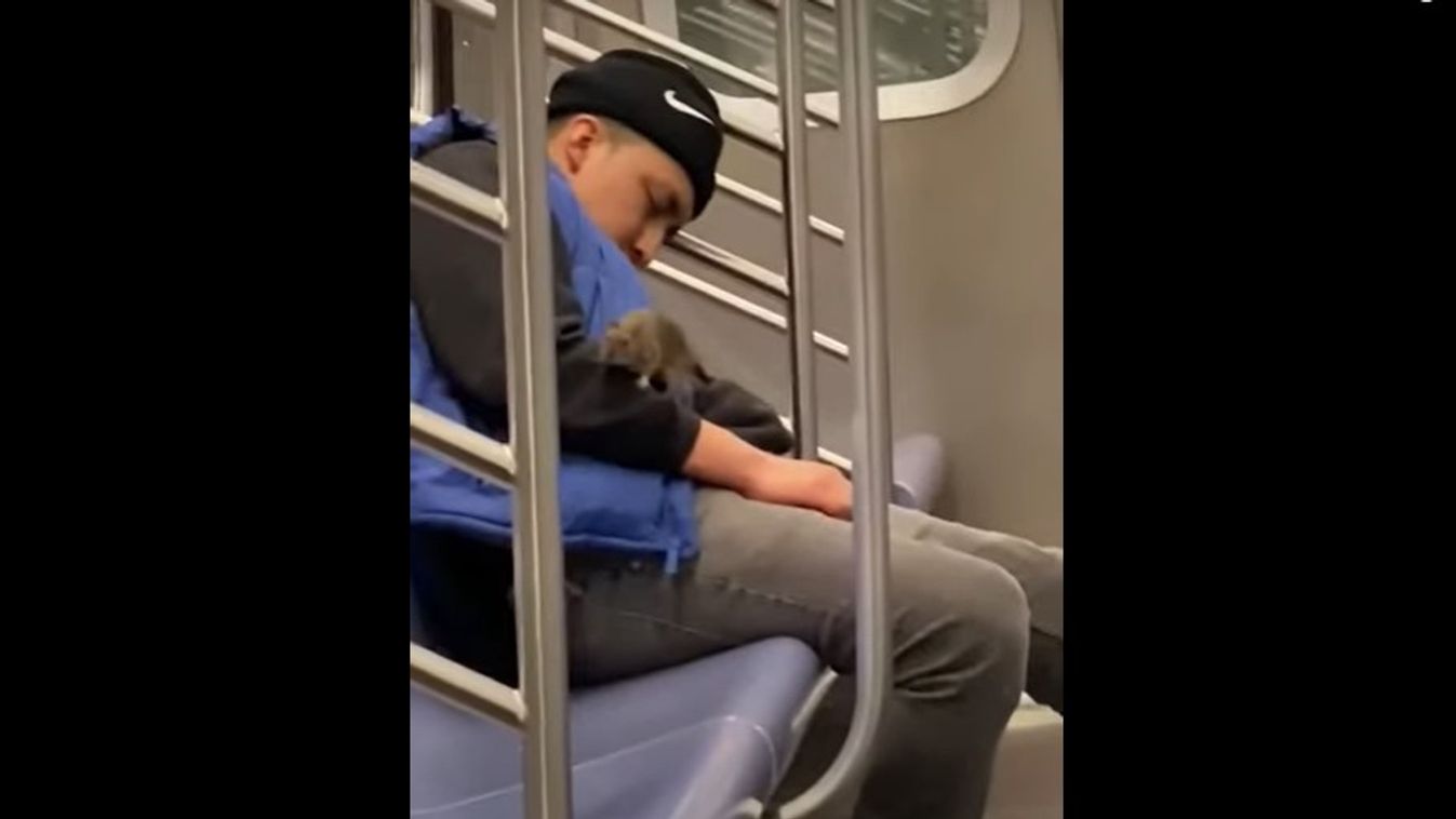 New York-i Subway patkány, csak címlapi kép a videóhoz 