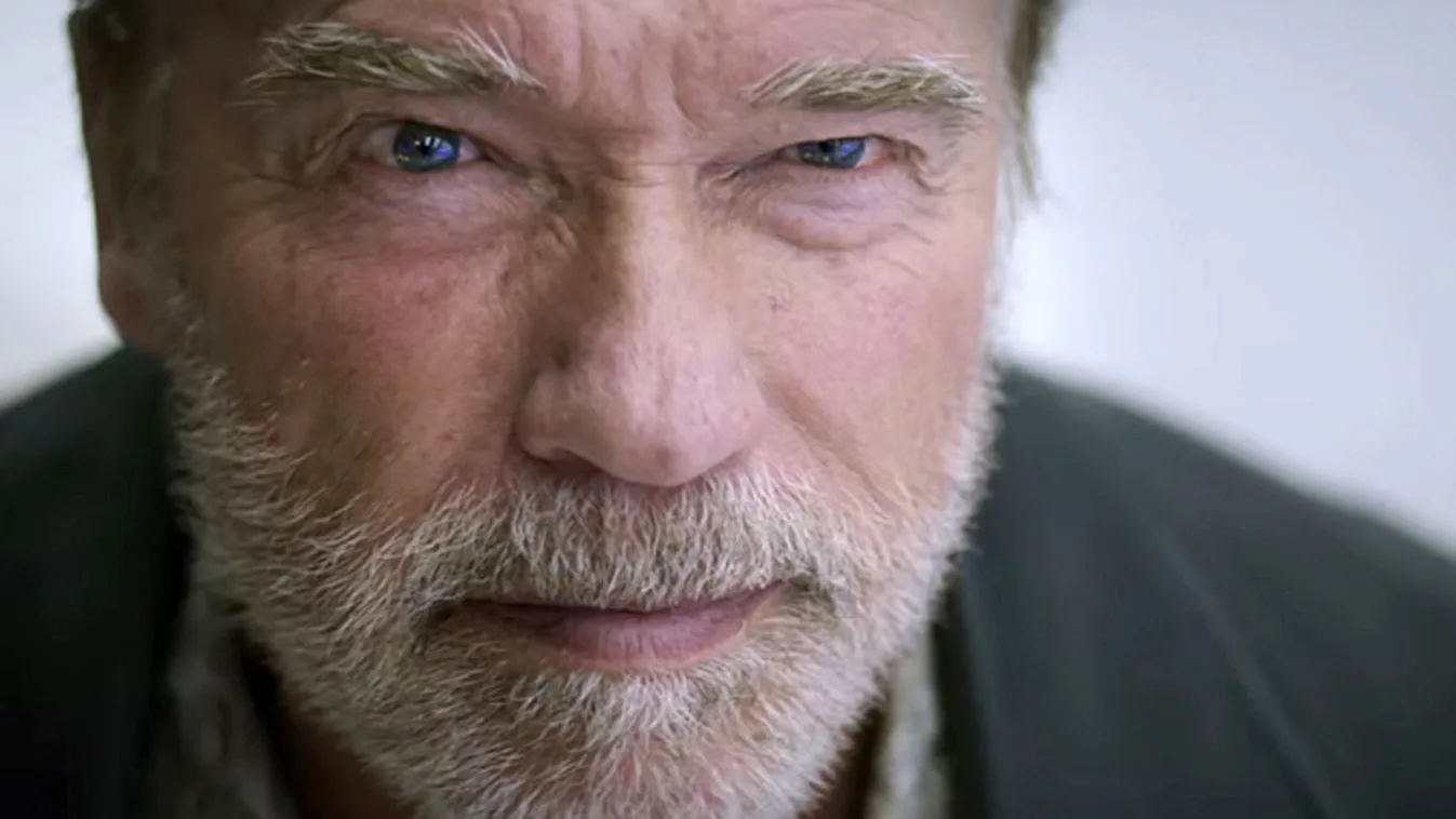 Arnold Schwarzenegger az Aftermath című filmben 