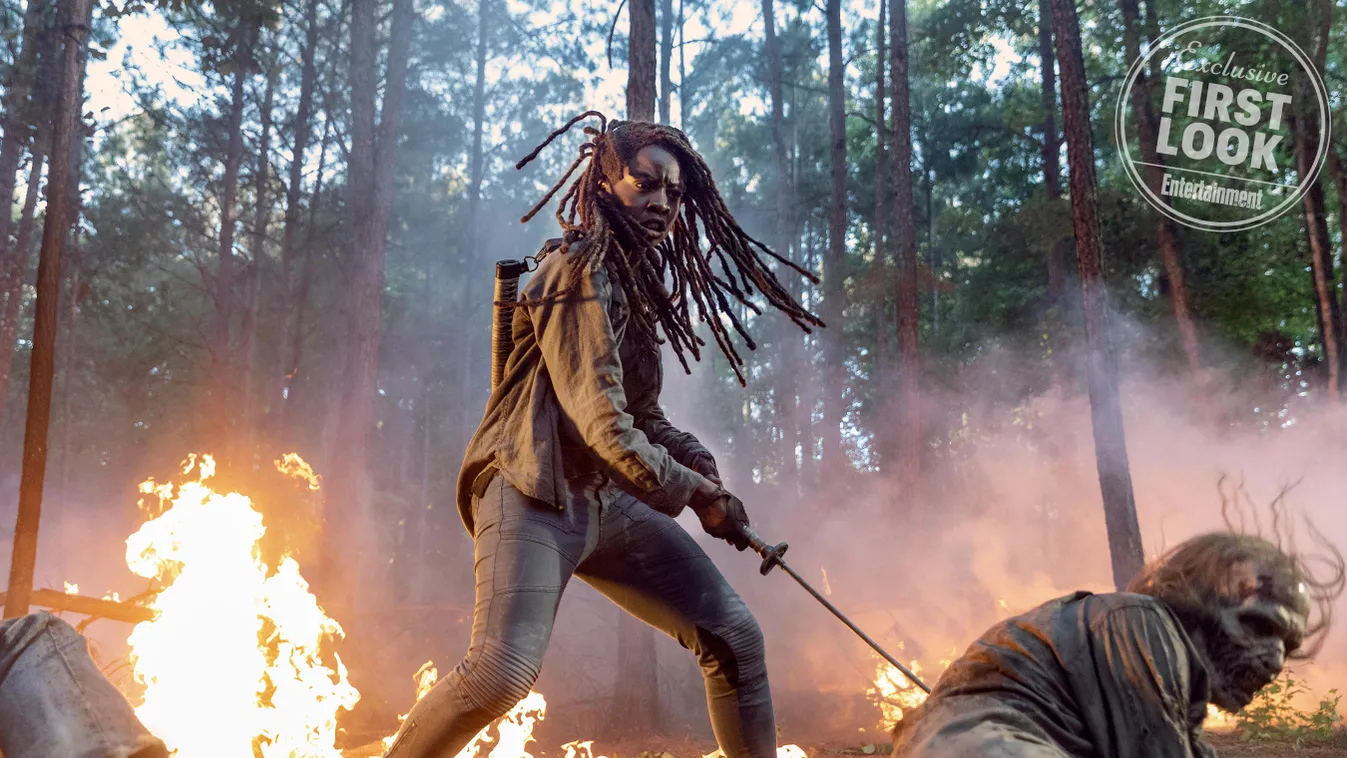Danai Gurira as Michonne - The Walking Dead _ Season 10, Episode 1 - Photo Credit: Jackson Lee Davis/AMC 