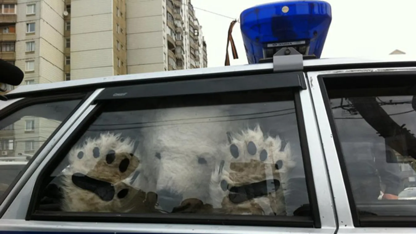 Jegesmedvének öltözött Greenpeace-akvitistákat vesz őrizetbe a rendőrség, Moszkva, Gazprom központ